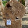 Grafsteen versteend hout 46112