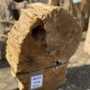 Grafsteen versteend hout 46112