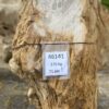 Grafsteen versteend hout 46141
