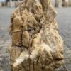 Grafsteen versteend hout 46141