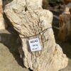 Grafsteen versteend hout 46142