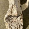 Grafsteen versteend hout 46142