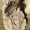 Grafsteen versteend hout 46142