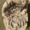 Grafsteen versteend hout 46142