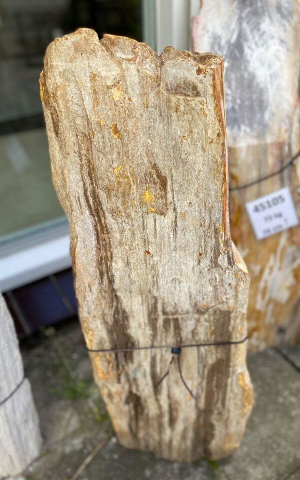 Grafsteen versteend hout 46147