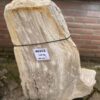 Grafsteen versteend hout 46152