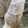 Grafsteen versteend hout 46152