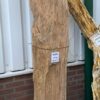 Grafsteen versteend hout 46243