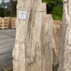 Grafsteen versteend hout 47057