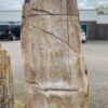 Grafsteen versteend hout 47057