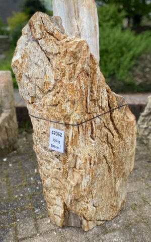 Grafsteen versteend hout 47062