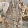 Grafsteen versteend hout 47062