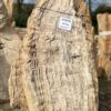 Grafsteen versteend hout 47070