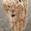 Grafsteen versteend hout 47075