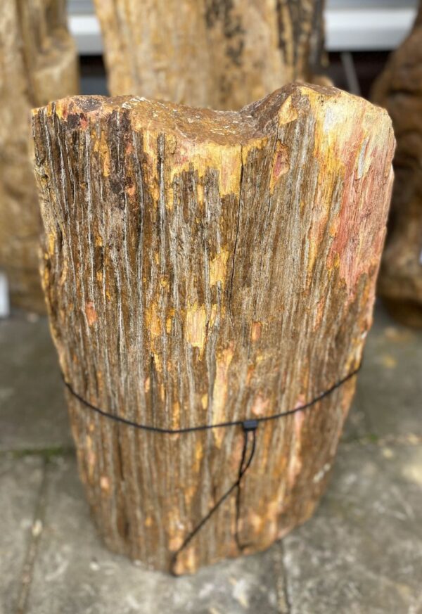 Grafsteen versteend hout 47082