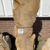 Grafsteen versteend hout 47088