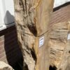 Grafsteen versteend hout 47088