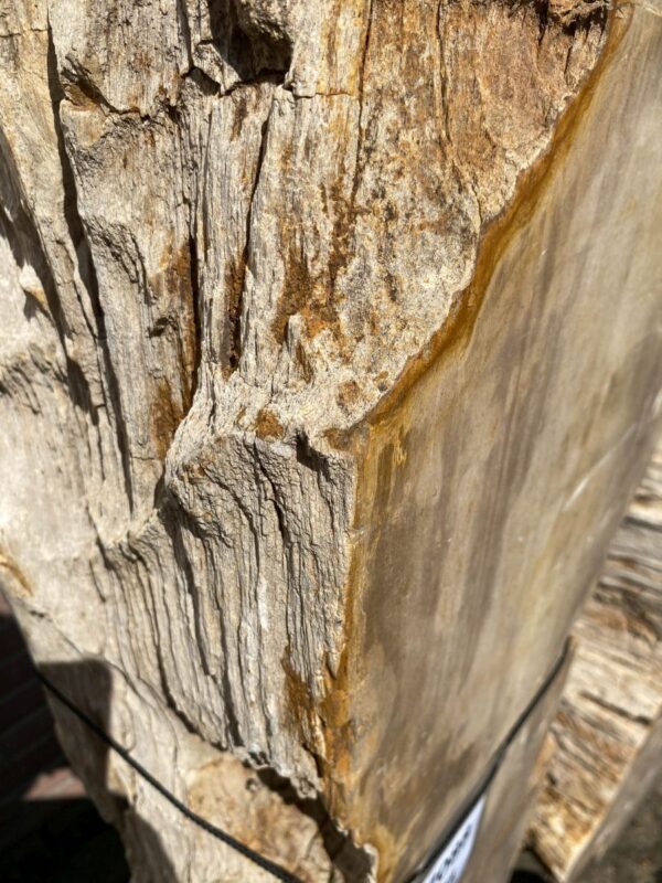 Grafsteen versteend hout 47088