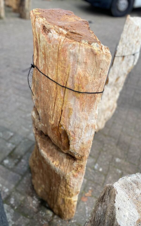 Grafsteen versteend hout 47092