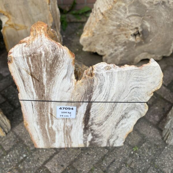 Grafsteen versteend hout 47094