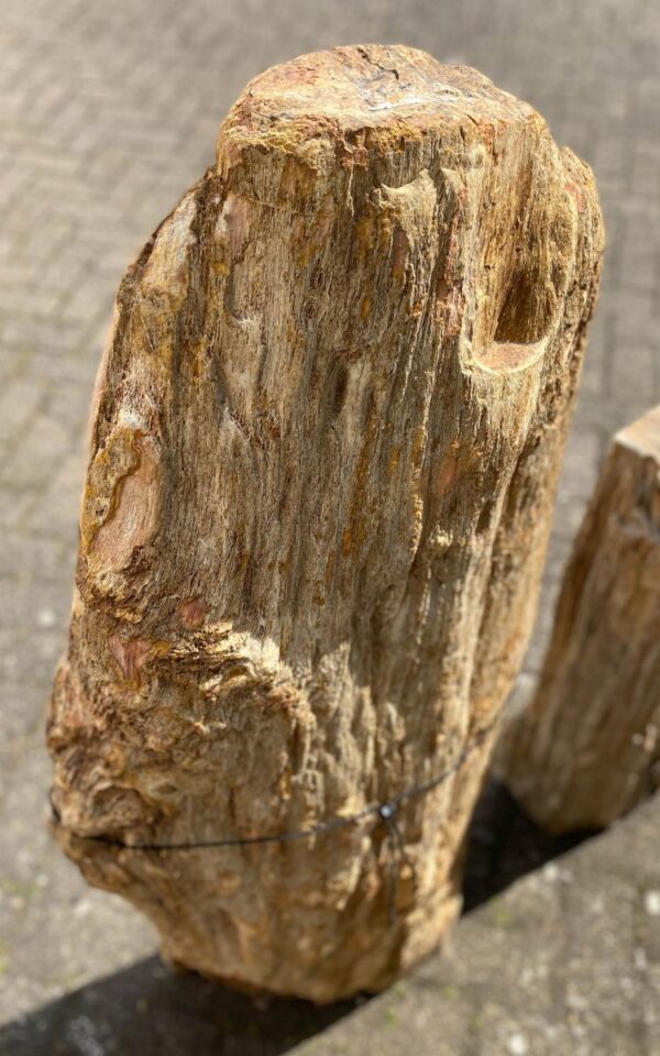 Grafsteen versteend hout 47097