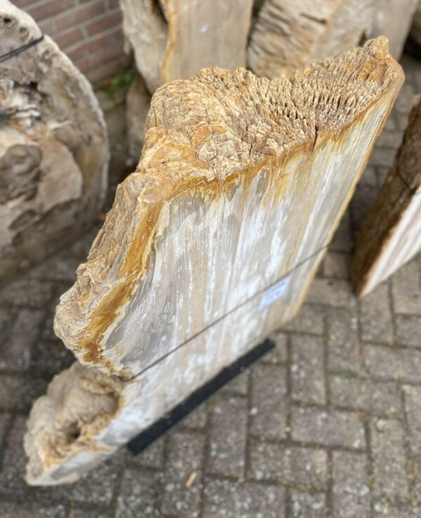 Grafsteen versteend hout 47098
