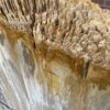 Grafsteen versteend hout 47098