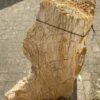Grafsteen versteend hout 47099