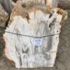 Grafsteen versteend hout 47101