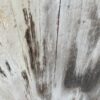 Grafsteen versteend hout 47101