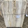 Grafsteen versteend hout 47102