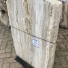 Grafsteen versteend hout 47102