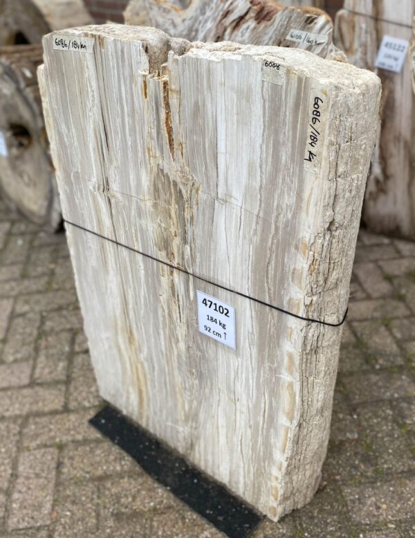 Grafsteen versteend hout 47102