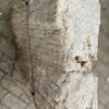 Grafsteen versteend hout 47102