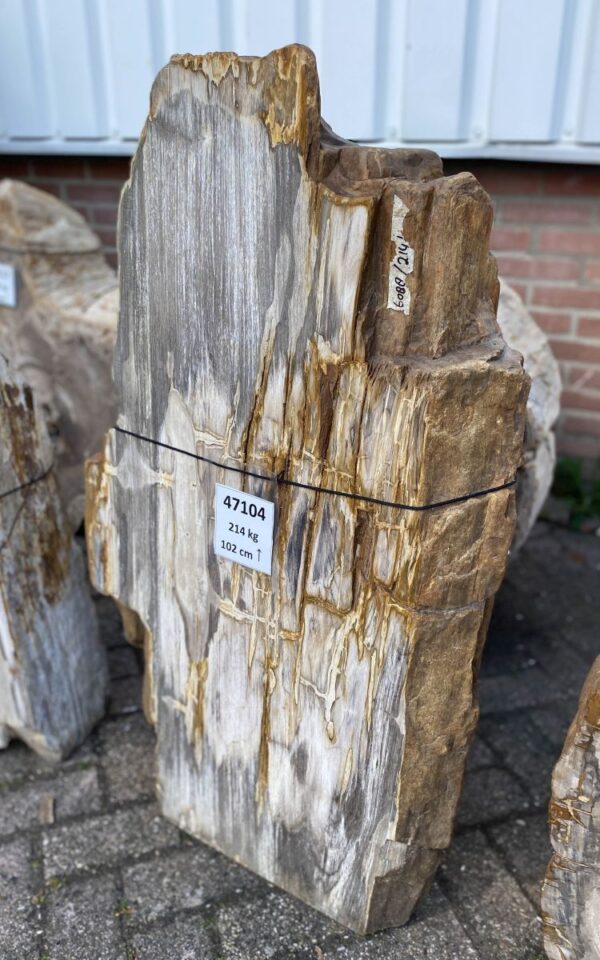 Grafsteen versteend hout 47104