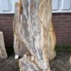 Grafsteen versteend hout 47105