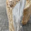 Grafsteen versteend hout 47105