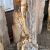 Grafsteen versteend hout 47105