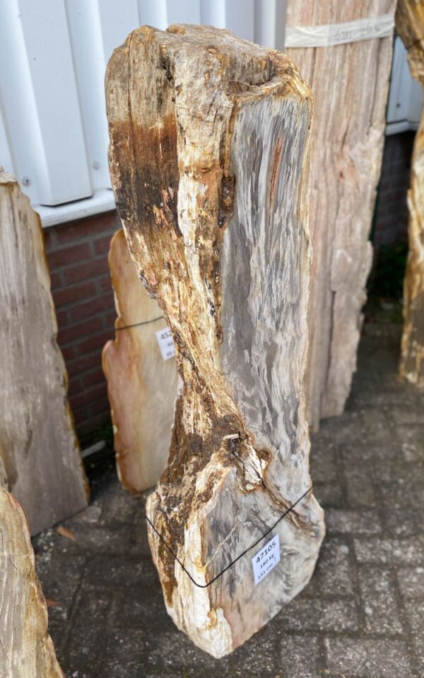 Grafsteen versteend hout 47105
