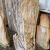 Grafsteen versteend hout 47105