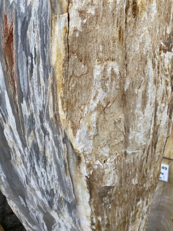 Grafsteen versteend hout 47105