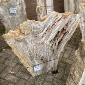 Grafsteen versteend hout 47107