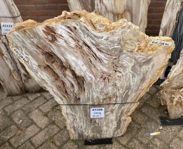 Grafsteen versteend hout 47108