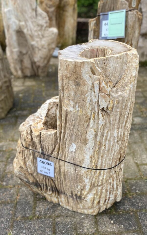 Lápida madera petrificada 46036
