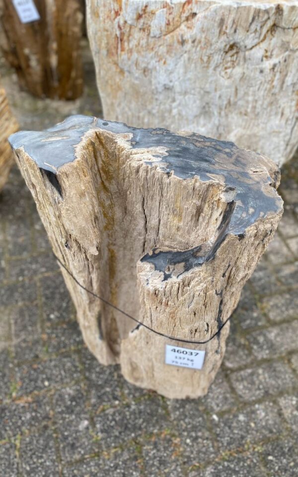 Lápida madera petrificada 46037