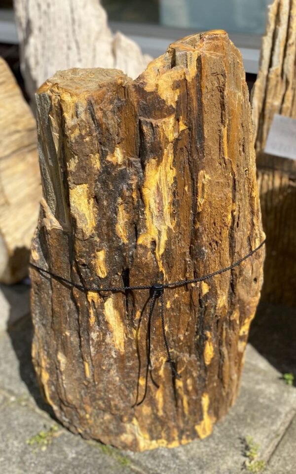Lápida madera petrificada 46040