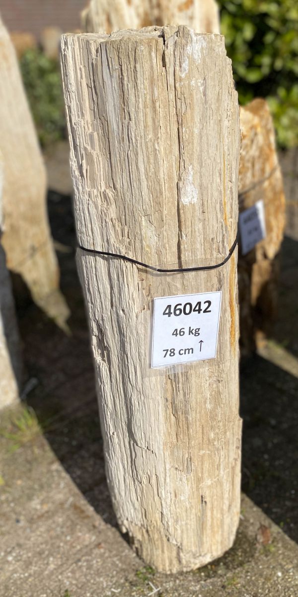 Lápida madera petrificada 46042