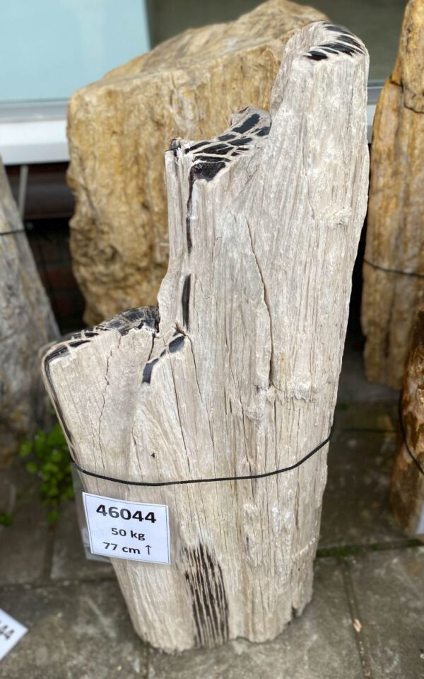 Lápida madera petrificada 46044