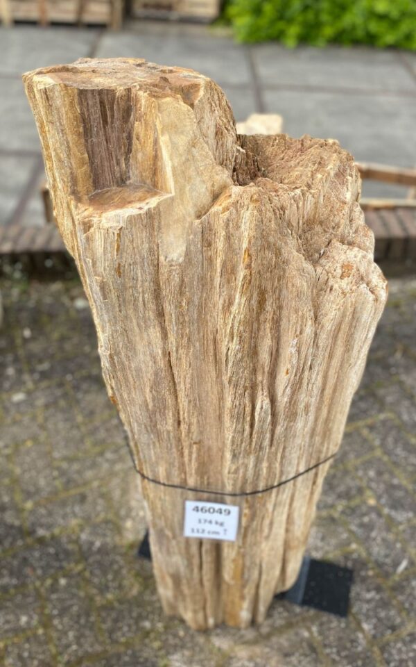 Lápida madera petrificada 46049