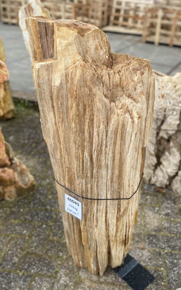 Lápida madera petrificada 46049